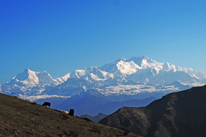 KANCHENJUNGHA FROM PHALUT TOP