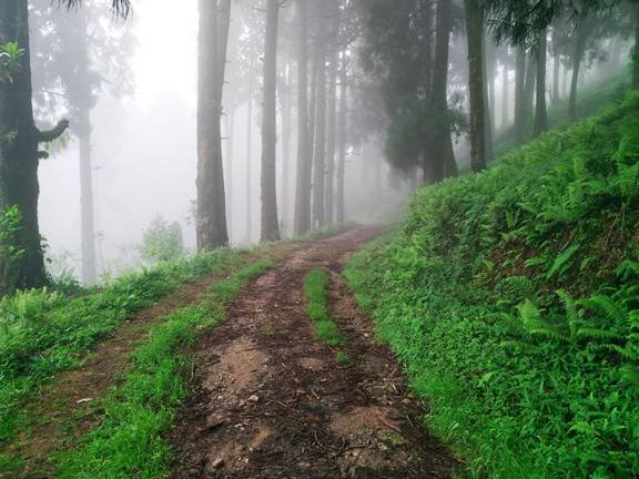 On-the-way-to-Salamander- Lake