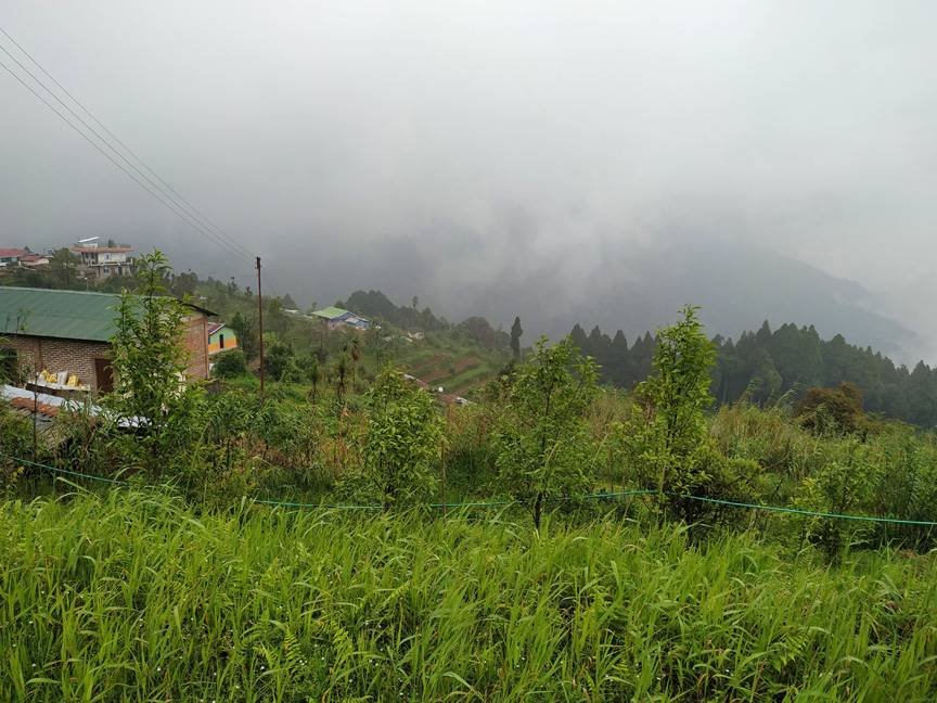 way to Angchu homestay